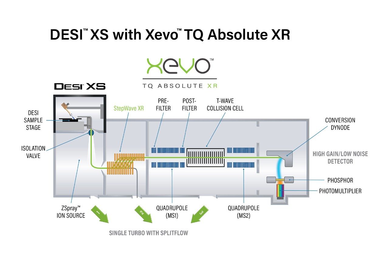 Targeted Mass Spectrometry Imaging | DESI XS & XEVO TQ